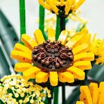 Mould King 10024S Birds of Paradise