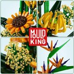 Mould King 10024S Birds of Paradise