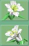 Mold King 24001 Lily
